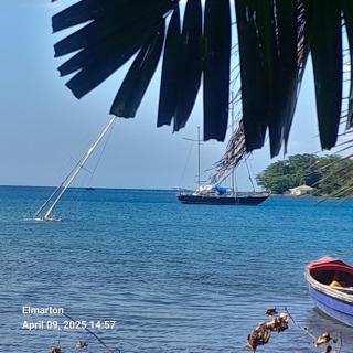 Beach view tent - Port Antonio - 2