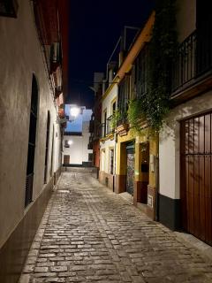 Armonia Suites Sevilla - Sevilla - 6