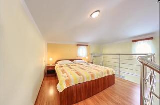 Apartments and Rooms Ruzmarin - Rozi - 4