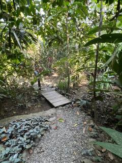 Casa Teka a Peaceful Stay Near Beach and Town - Cocles - 3