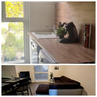 Spacieux , Climatisé, 2 Terrasses et Parking facile - Perpignan - 2