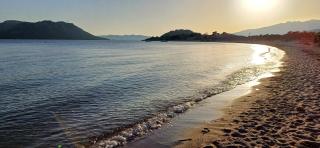Studio grande piscine dans résidence hôtelière, proche plage - Lecci - 2
