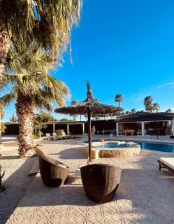 Oasis Villa OLMET - Benejúzar - 4