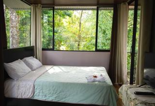Chiri's Cabin - San Gerardo - 0