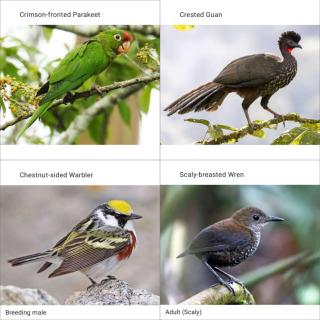 Tiny Villa Experience - 8