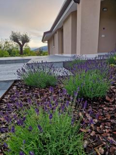 ALMA Guest House - Pieve di Soligo - 5