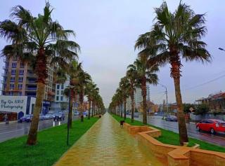 David Agmashenebeli Avenue - Kutaisi - 8