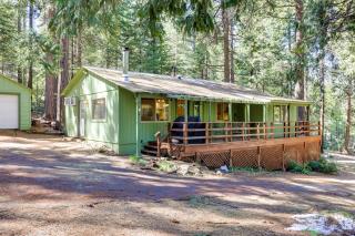 Stay Near Big Trees, Bring Your Pets Arnold Cabin - Arnold - 0