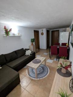 Apartman Slavica - Gornji Karin - 9