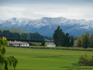 Pahau Downs - Culverden - 8