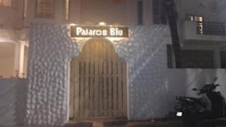 Hotel Pajaros Blu - Calangute - 9