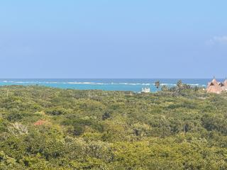 Monkey Lifestyle - Tulum - 3