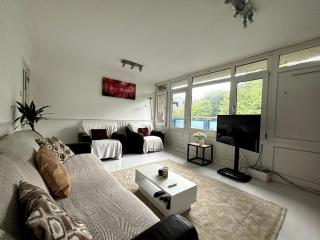 Lovely Spacious Apartment by Brick Lane - Londra - 0