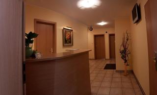 Dom Gościnny Pod Brzozami - Poznań - 1