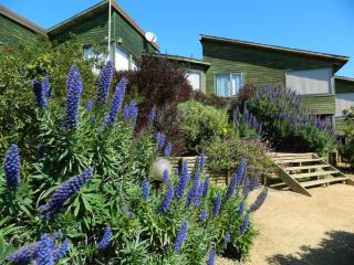 Tunquén, hermosa casa, cancha de tenis y piscina exclusivas - Tunquen - 0