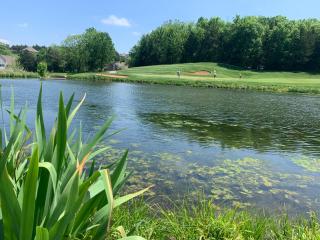 Fairway to Heaven in Old Kinderhook - Villa on 14th Fairway of Golf Course - Camdenton - 4