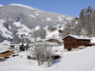Waidachhaus 16 - Ramsau im Zillertal - 9