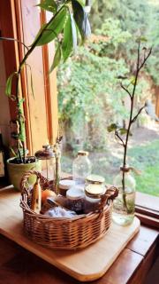 Shelter Patagonia Hostal - 3