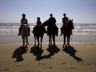 Short Walk to Beach 1 - 2