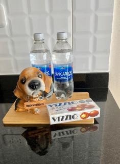 MONTERRICO POLO APARTS #21 - Dpto 2 Dorm Frente Embajada de USA - 1