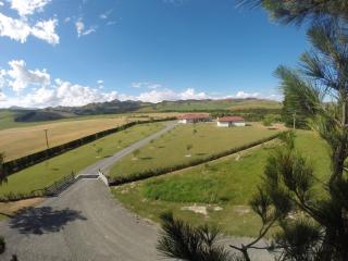 Pahau Downs - Culverden - 7