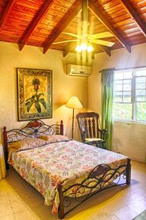 Gemini House Bed & Breakfast - Christ Church - 4