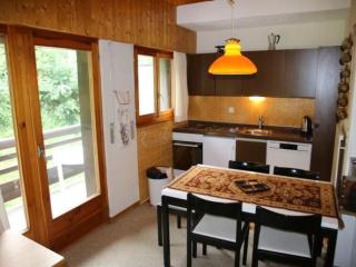 Pet-friendly apartment in Veysonnaz - Veysonnaz - 4