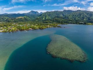 Toahere Beach House - Beachfront - Pool - Pontoon - Paui - 8