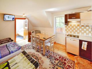 Holiday home in the countryside, large garden - Noskowo - 3