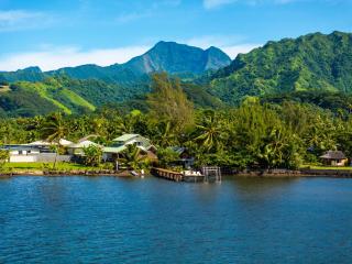 Toahere Beach House - Beachfront - Pool - Pontoon - Paui - 9