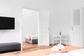 Cozy 2BR Apt with TV & Netflix, Steps from AKH - Vienne - 1
