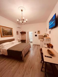 Pisa House B&B - Pisa - 7