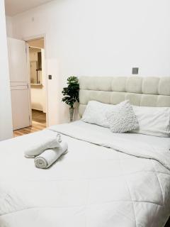 Snyder luxe homes - Tatu City - 7