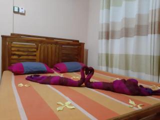 76 Resort - Habarana - Habarana - 4