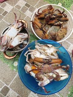 Gia Nguyễn Homestay Bình Thuận - Tuy Phong - 7