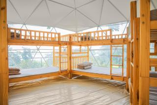 Tropical eglamping - 9