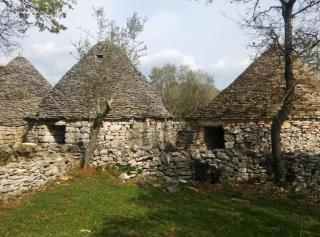 Authentic Istrian Holiday Home for Unforgettable Stays - Vodnjan - 5