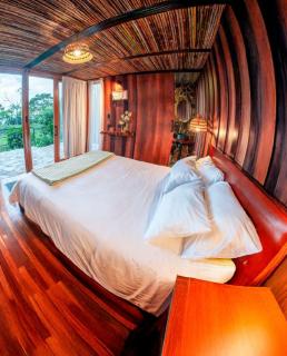 Glamping de Lujo en Puyo, Luz de Luna - Veracruz - 7