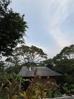 Glamping de Lujo en Puyo, Luz de Luna - Veracruz - 4