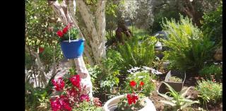 Efi's studio - Lefkada - 7