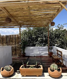 Casa Colibri Oaxaca con Jacuzzi en Terraza - Santa María Azompa - 3