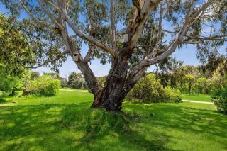 Riverside Hideaway - Torquay - 7
