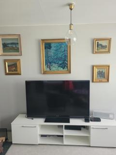 Blue villa with private beach - Kesälahti - 4