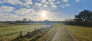 Pension Bakema Ameland - 8