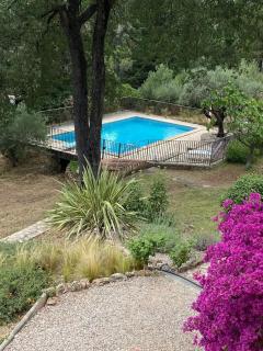 Cocon de Provence - Le Cannet-des-Maures - 1
