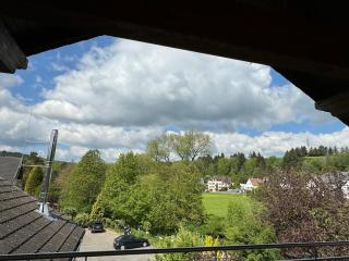 Dachgeschoss Wohnung mit Blick ins Grüne - Taunusstein - 2
