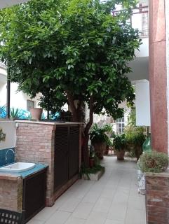 Casa Putti - Letojanni - 3