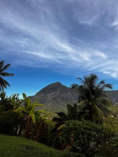 TIKI LODGE Hiva oa - 7