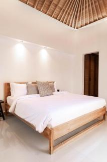 Villa Under the Sun - Seminyak - 2