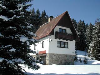 Chalet Helena - Nové Hamry - 0